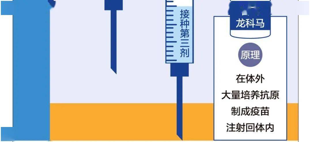 天津疫苗与北京疫苗的区别，全面解析两地疫苗的特点与差异