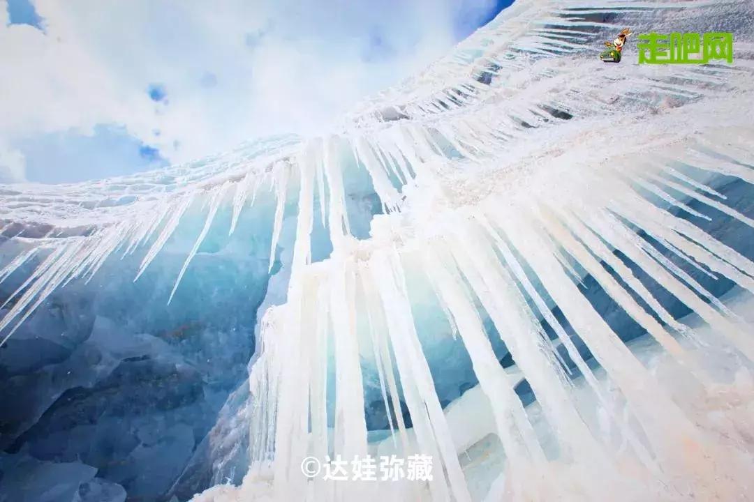 西藏自治区疾病预防控制中心电话，健康守护的热线与服务指南