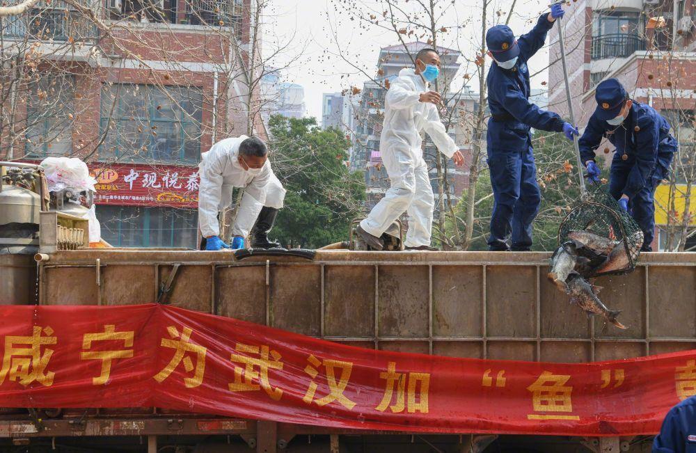 郑州封城了吗现在？最新疫情防控政策解析