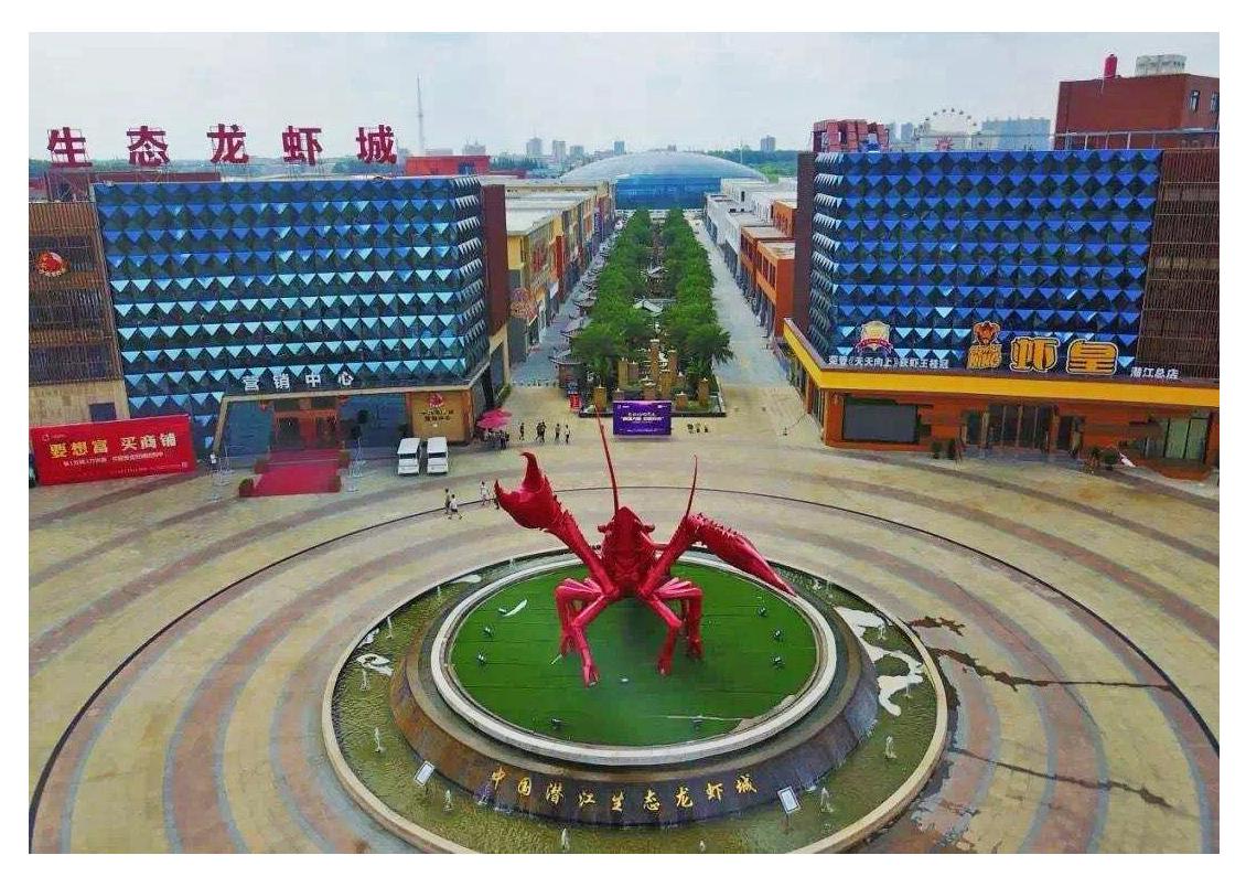 郑州疫情封城记录查询，回顾与数据整理