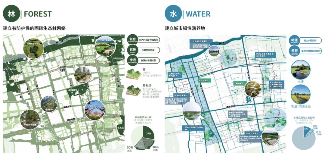 上海防台，一座超级城市的韧性密码