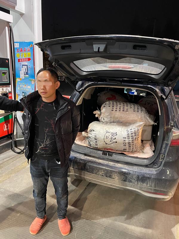 上海市卫健委领导分工解析，职责明确，协同推进健康上海建设
