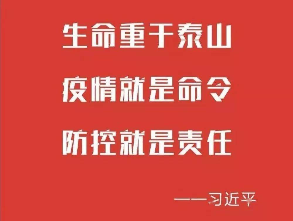 合肥市役情防控，挑战、应对与未来展望