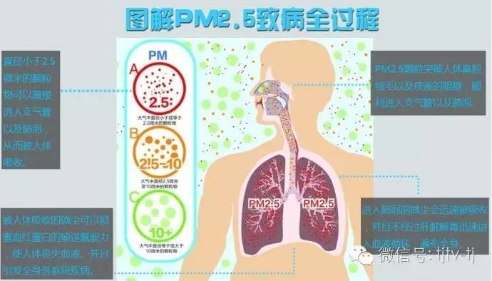 香港防疫指挥部电话，市民健康守护的生命线