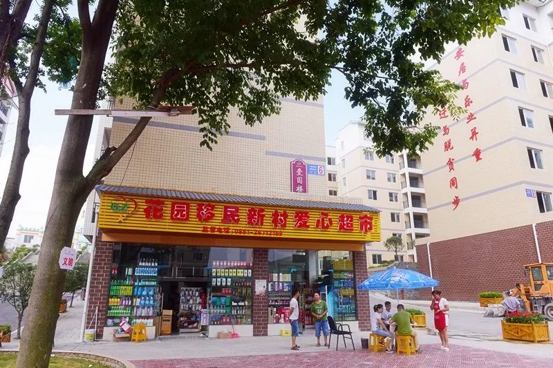 香港防疫指挥部电话，市民健康守护的生命线