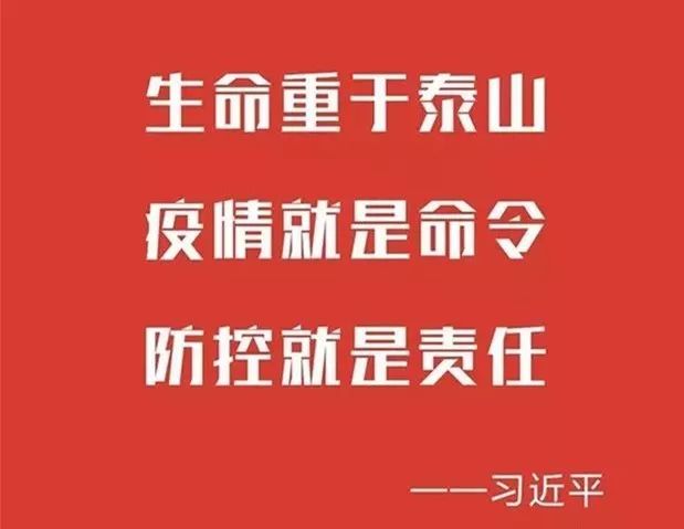长春疫情防控工作，科学施策与全民共筑健康防线