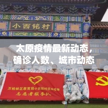 上海市疫情发布官网与太原最新疫情动态，全面解析与应对策略