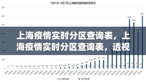上海疫情公告网，信息透明化的重要平台