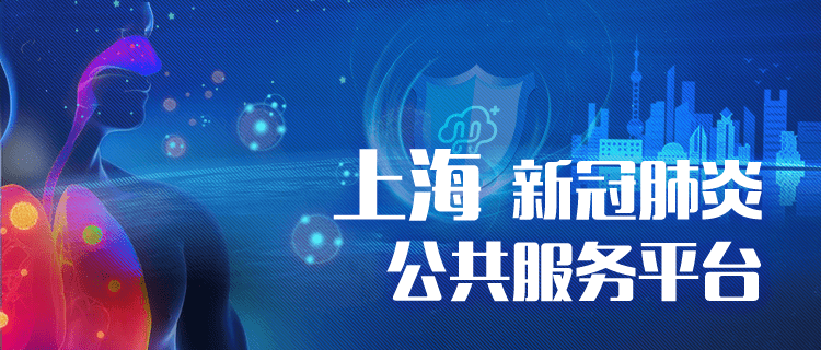上海市疫情防控办官网，权威信息发布与便民服务的重要平台