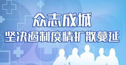 浙江省疫情防控平台，数字化抗疫的典范与实践
