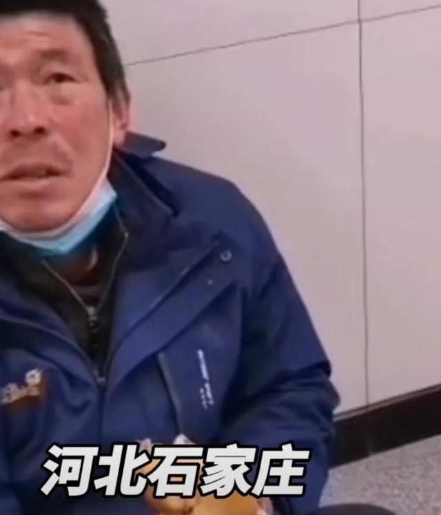 浙江省疫情趋稳与石家庄最新防控动态解析